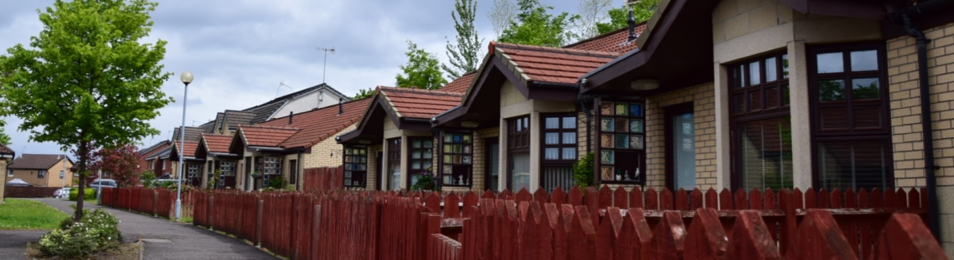 DSC 0217