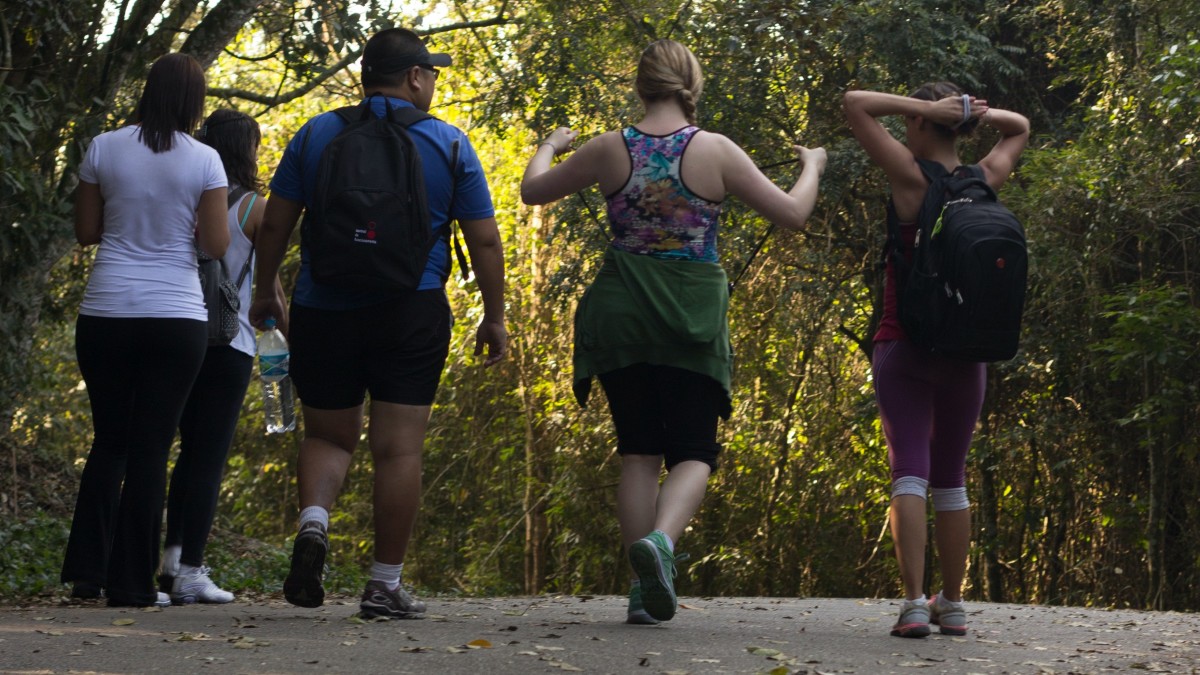 Walking Group