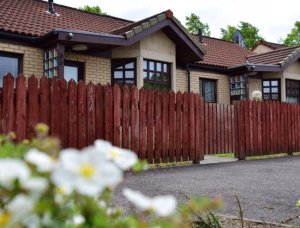 DSC 0220 Property Type