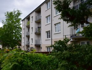 DSC 0236 Property Type